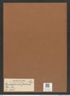 Entogonia gratiosa Grev. (de-Toni-Nr.: Genus 141, Species 4068) Zeichnungen Sammlung Grunow Mappe 04083 (Herbarium_W_Grunow_drawings_Folder_04083)